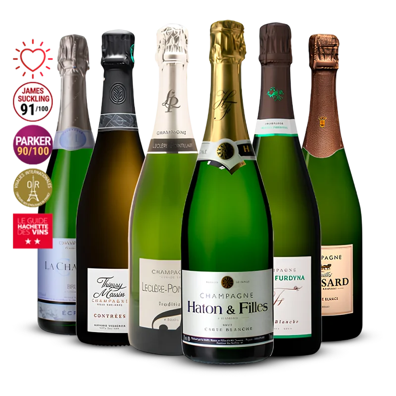 Pack 6 Champagnes de Vignerons  4.5l