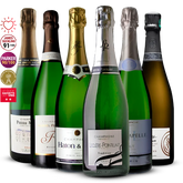 Pack 6 Champagne de Vignerons