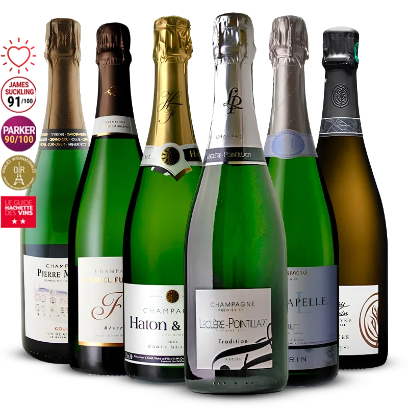 Pack 6 Champagne de Vignerons